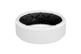 Zeus Edge Tundra Ring